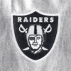 Las Vegas Raiders Wild Collective jacket 2 3 1